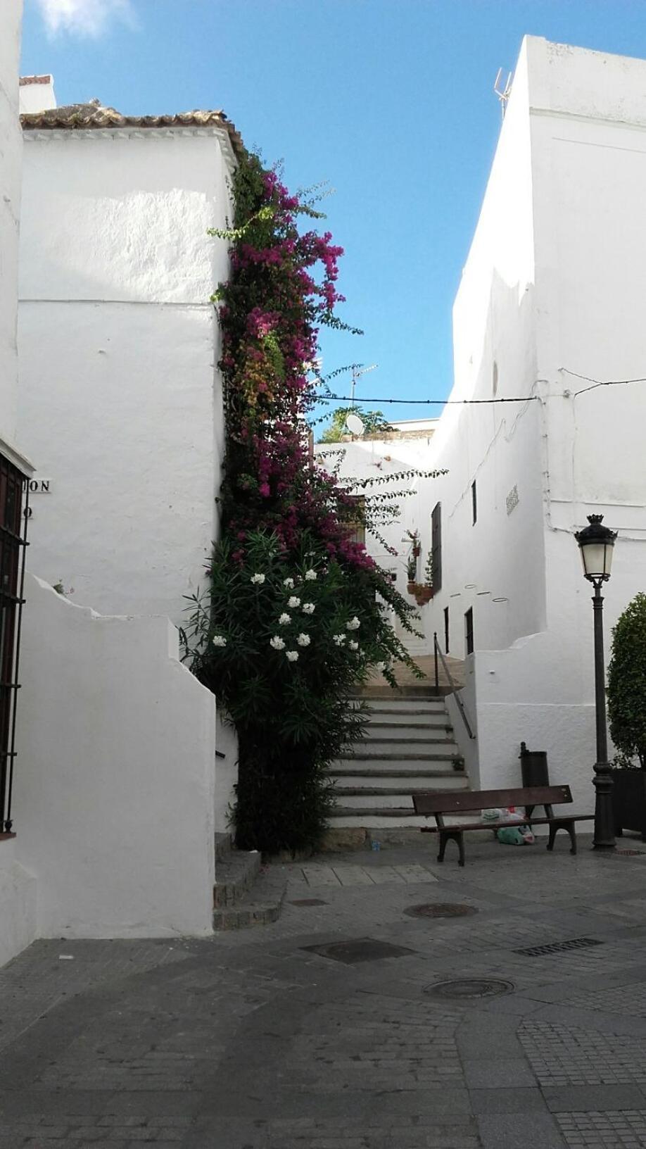 Casa Calle Alta Maria Bajo Vejer de la Frontera Exterior foto